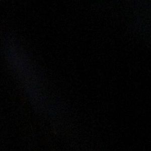 Meet your Posher, Wesley